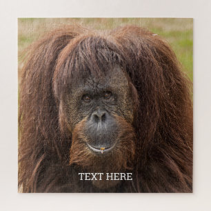 ボルネオ・オランウータン美しい写真 ジグソーパズル