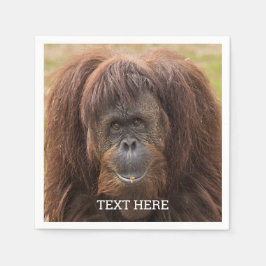 ボルネオ・オランウータン美しい写真 スタンダードカクテルナプキン