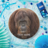 ボルネオ・オランウータン美しい写真 ペーパープレート (パーティー)