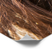 ボルネオ・オランウータン美しい写真 ポスター (角)