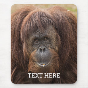 ボルネオ・オランウータン美しい写真 マウスパッド