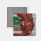 ボルネオ・オラングタン マグネット (正面/裏面)