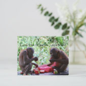 ボルネオ・ジャングル・スクールでオランウータンのためのランチタイム ポストカード (スタンド正面)