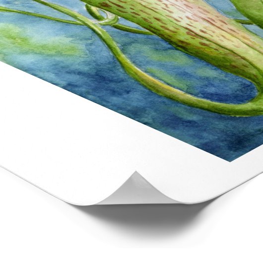 ボルネオ・ネペンス水彩画ポスター ポスター (角)