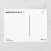 ボルネオ・プロボスチサル・インドネシア野生生物 ポストカード (裏面)