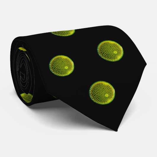 ボルボックス ネクタイ (ロール)