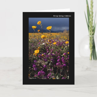 ボレゴ春ズ(カリフォルニア) カード