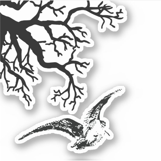 ボロのベカシア シール (正面)