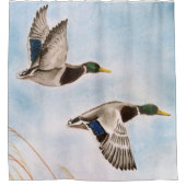 ボロシャワーカーテンにGERMANI REALI シャワーカーテン (正面)