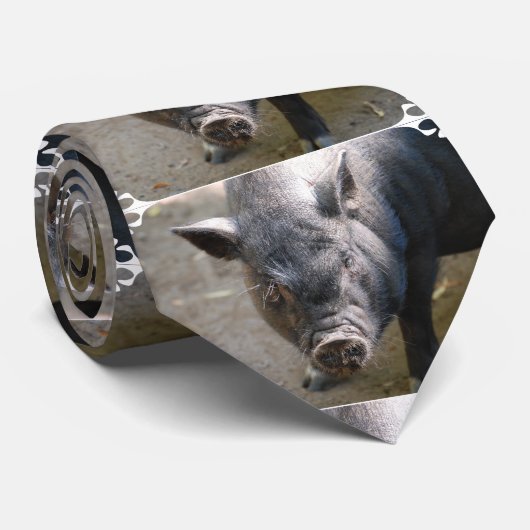 ボロネオのブタ ネクタイ (ロール)