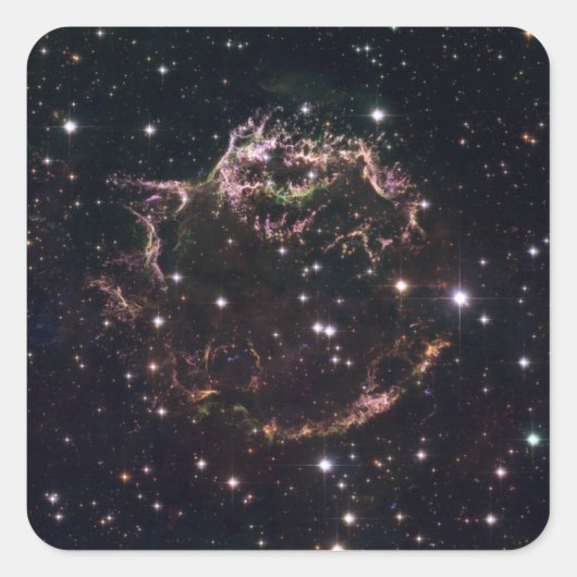 ボロボロになった遺跡の詳細な見解 スクエアシール (正面)