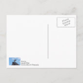 ボロメオクロス1791 ポストカード (裏面)