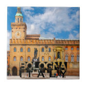 ボローニャ タイル (正面)