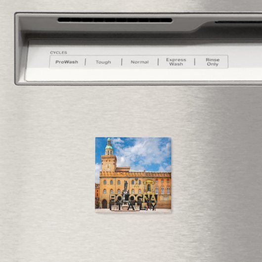 ボローニャ マグネット (インサイチュ (食洗機))