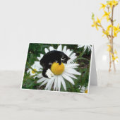 ボンゴのデイジー カード (黄色い花)