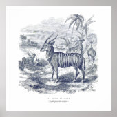 ボンゴアンテローププレミアムキャンバス(光沢) ポスター (正面)