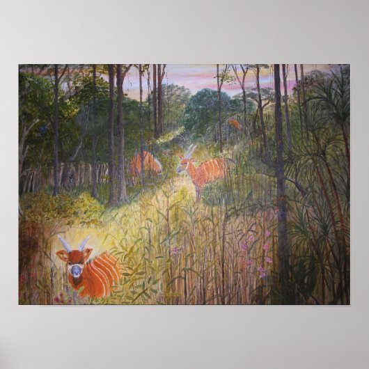 ボンゴアンテ絵画ロープ ポスター (正面)