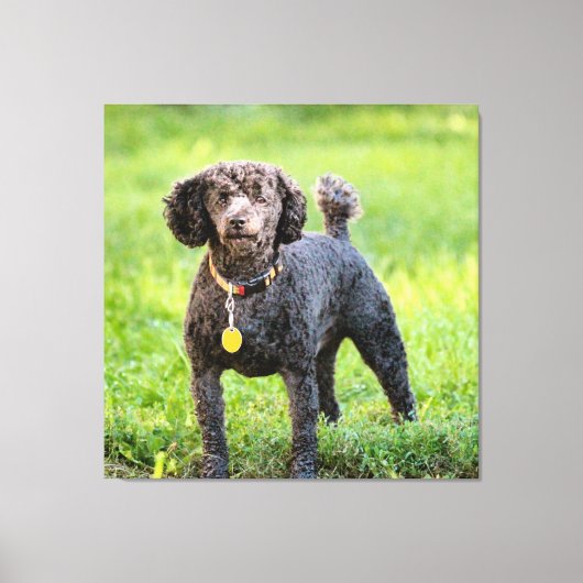 ボンジュール キャンバスプリント (正面)