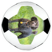 ボンジュール サッカーボール (回転)