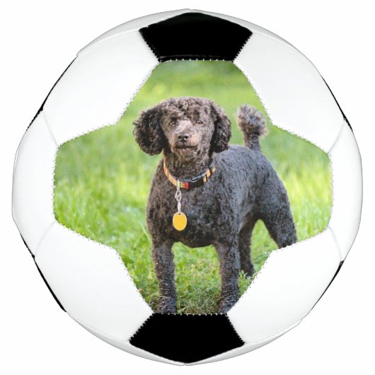 ボンジュール サッカーボール (正面)