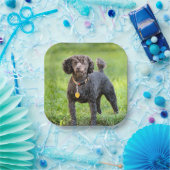 ボンジュール ペーパープレート (パーティー)