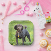 ボンジュール ペーパープレート (パーティー)