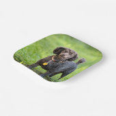 ボンジュール ペーパープレート (傾斜あり)