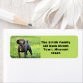 ボンジュール ラベル (インサイチュ)