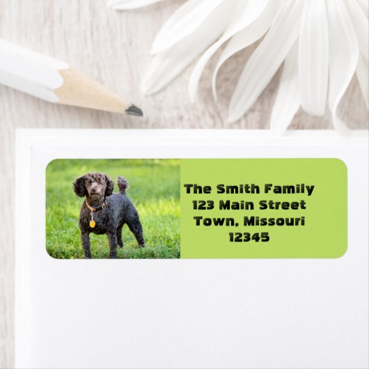 ボンジュール ラベル (インサイチュ)