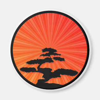 ボンツィ磁石 マグネット