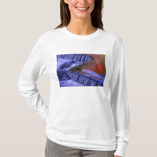 ボンドフォールズの落ち葉の反射 Tシャツ (正面)