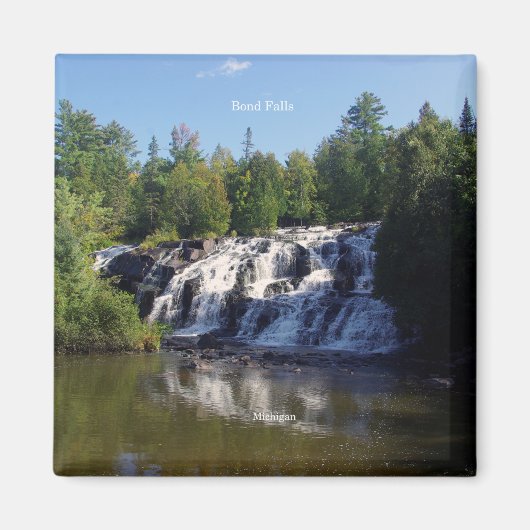 ボンド秋磁石 マグネット (正面)