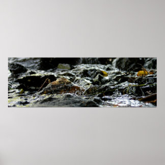 ボンド秋 – 上部半島 ポスター