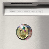 ボンネット マグネット (インサイチュ (食洗機))