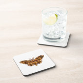 ボンビックスモリシルクモスライフサイクルシルエット コースター (右側)