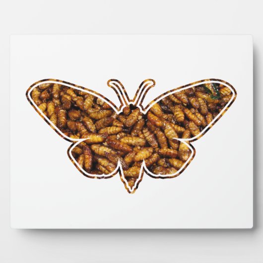 ボンビックスモリシルクモスライフサイクルシルエット フォトプラーク (正面)