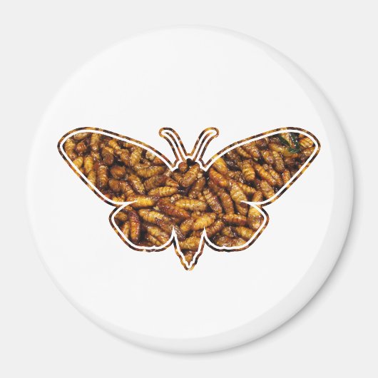 ボンビックスモリシルクモスライフサイクルシルエット マグネット (正面)