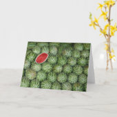 ボンベイスイーターメロン カード (黄色い花)