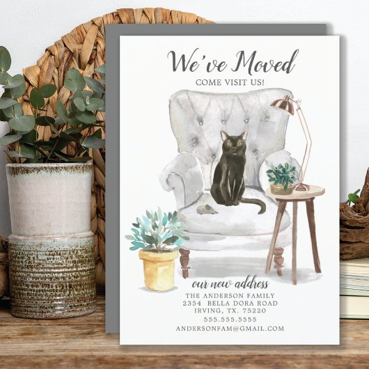 ボンベイ猫の動きのお知らせ 案内状