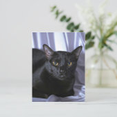 ボンベイ ポストカード (スタンド正面)