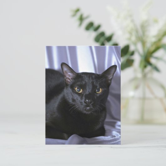 ボンベイ ポストカード (スタンド正面)