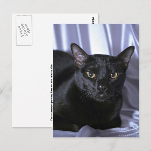 ボンベイ ポストカード (正面/裏面)