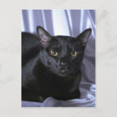 ボンベイ ポストカード (正面)