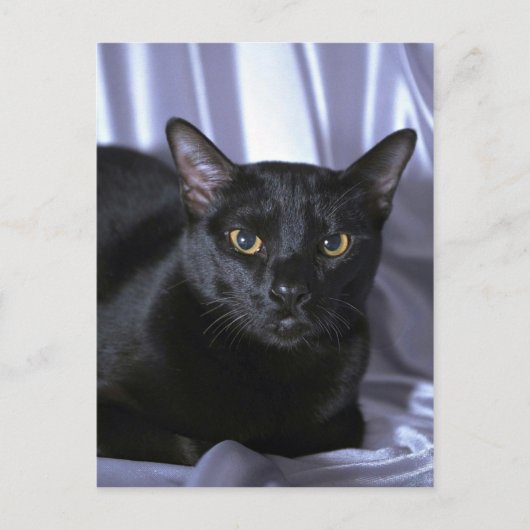 ボンベイ ポストカード (正面)