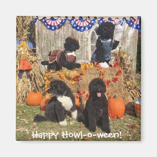 ボーとサニーハロウィーン – マグネット (正面)