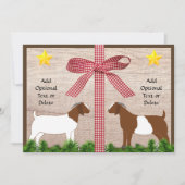 ボーアヤギ素朴のクリスマスグリーティング シーズンカード (正面)