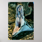 ボーア ポスター (正面)