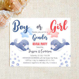 ボーイジンベイジェンダーが予算招待状を明らかにする