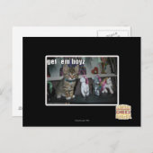 ボーイズを取得 ポストカード (正面/裏面)