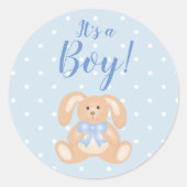 ボーイバニーラビットパステルブルーベビーシャワー ラウンドシール (正面)